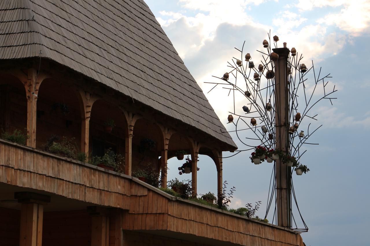 Casa Ralucai Hotel มุยเซ ภายนอก รูปภาพ